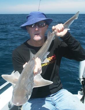 Gummy sharks of this size are common on the offshore reefs around Cape Otway.